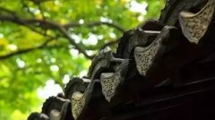 滴水、花边和屋脊