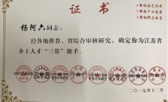 证书-“三带”能手